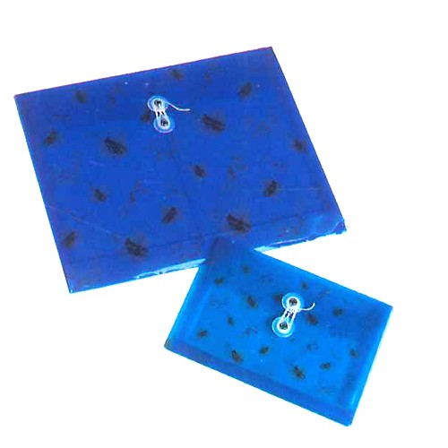 立體橫式文件袋